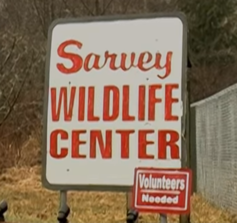 Sarvey Wildlife Care Center documentary