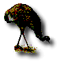Emu logo
