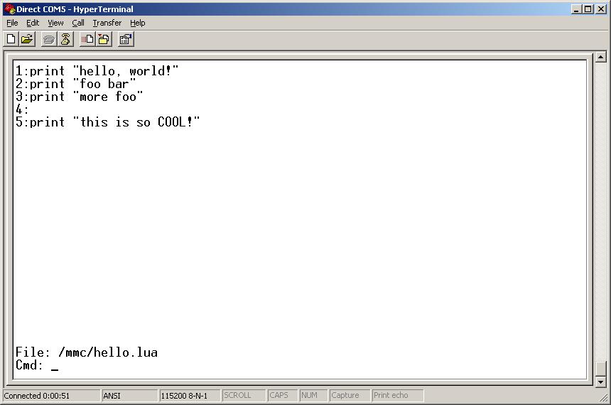 The editor showing a Hello program