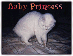 The Baby Princess