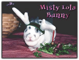 Xmas Misty Lola Bunny