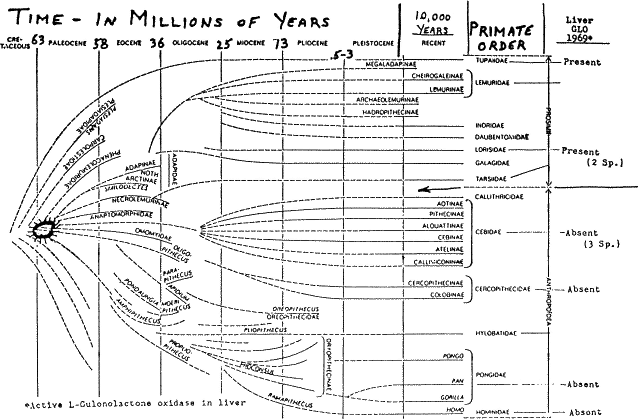 stone72-fig3.gif (32682 bytes)