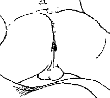 (And whats this!  This gratuitous, tightly cropped and carefully framed picture of Jason's juicy parts is exactly the sort of trash I'm talking about!)