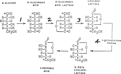 stone72-fig2.gif (8005 bytes)