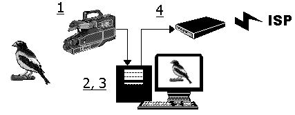 Diagram of the Seattle BirdCam
