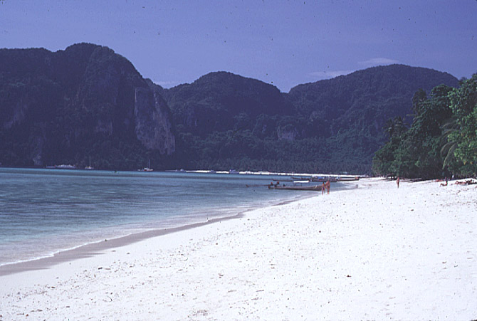 KO-PIPI-2.jpg (84451 bytes)