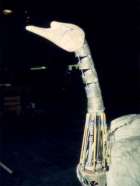 Extended Neck