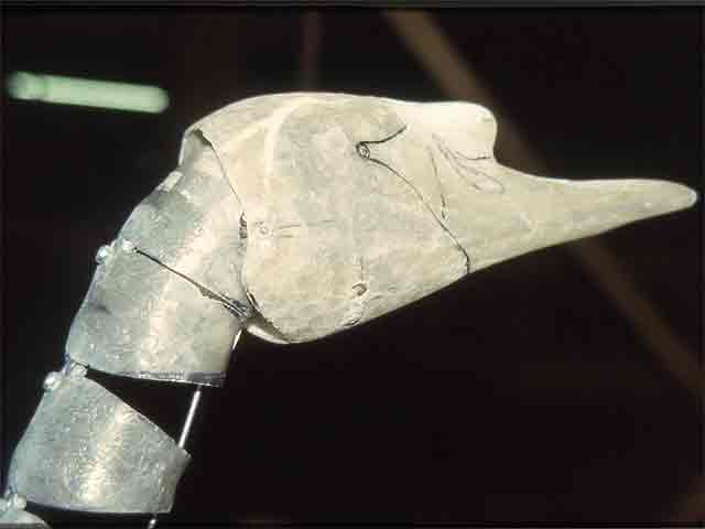 The Head