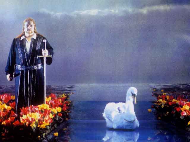 The Duck Onstage