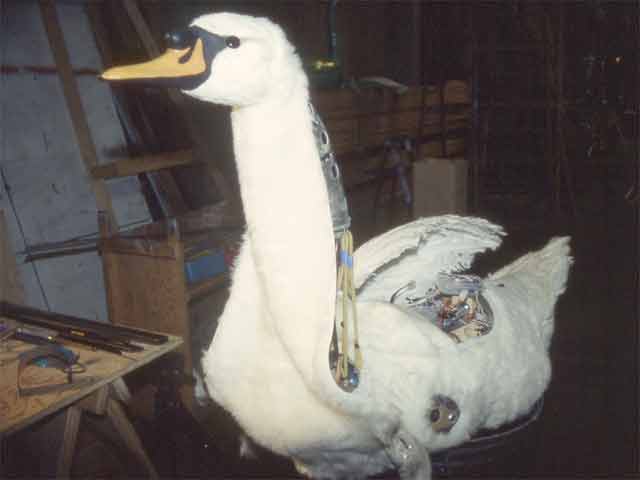 Unzipped Duck Fur