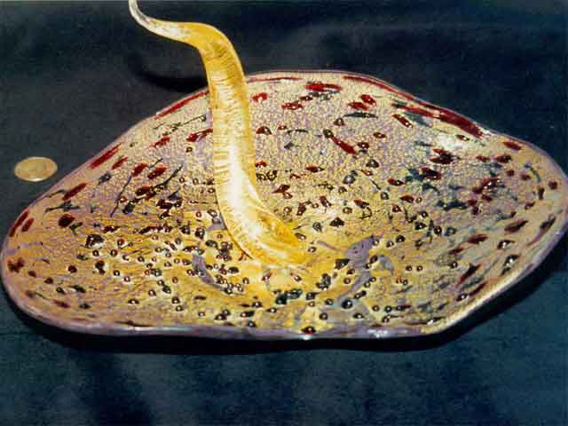 Glass Model
