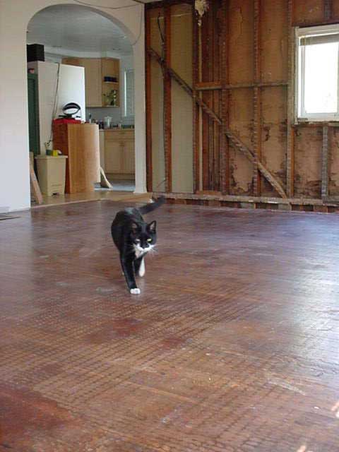 The Inspector