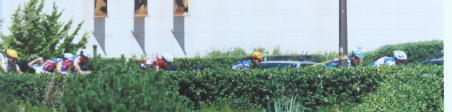 Hedgerows?