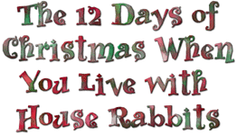 Twelve Days of Bunny Xmas