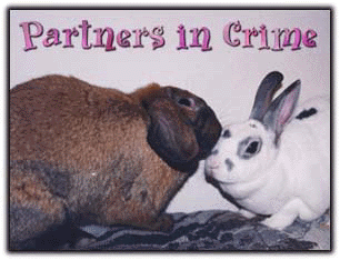 Partners in Crime