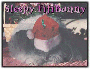 FifiBunny as Santa