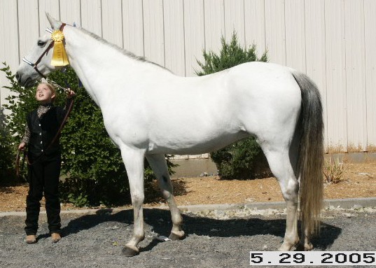 KateSummer2E.jpg - 15 K