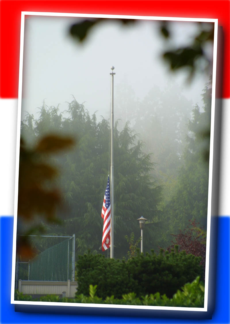 Our neighborhood flag