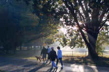 Seattle-greenlake-walkers in the early morning fall fog