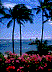 Hawaii