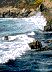 Waves